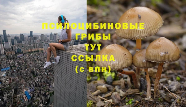меф Балахна