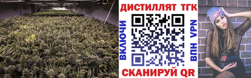 Дистиллят ТГК THC oil  нарко площадка как зайти  Нефтегорск  цены  